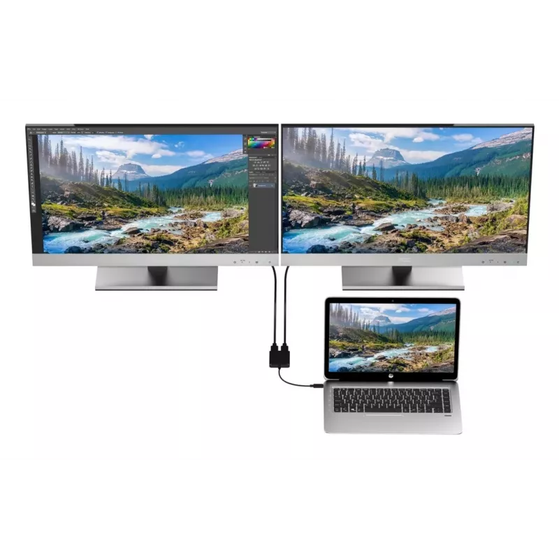 Techly IADAP USBC-HDMI2T4K vaizdo kabelio adapteris 0,15 m USB Type-C 2 x HDMI juodas