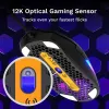 Glorious Gaming Model O Eternal pelė dešinei rankai USB Type-A optinė 12000 DPI