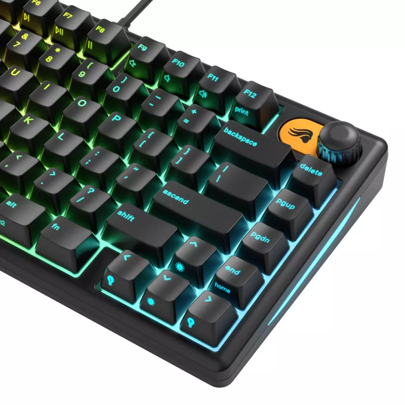 Glorious Gaming GMBK 75% klaviatūra USB QWERTY JAV anglų juoda