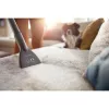 Philips 2000 serijos XB2140/09 dulkių siurblys 1,3 L Cilindrinis sausas 850 W be maišelio