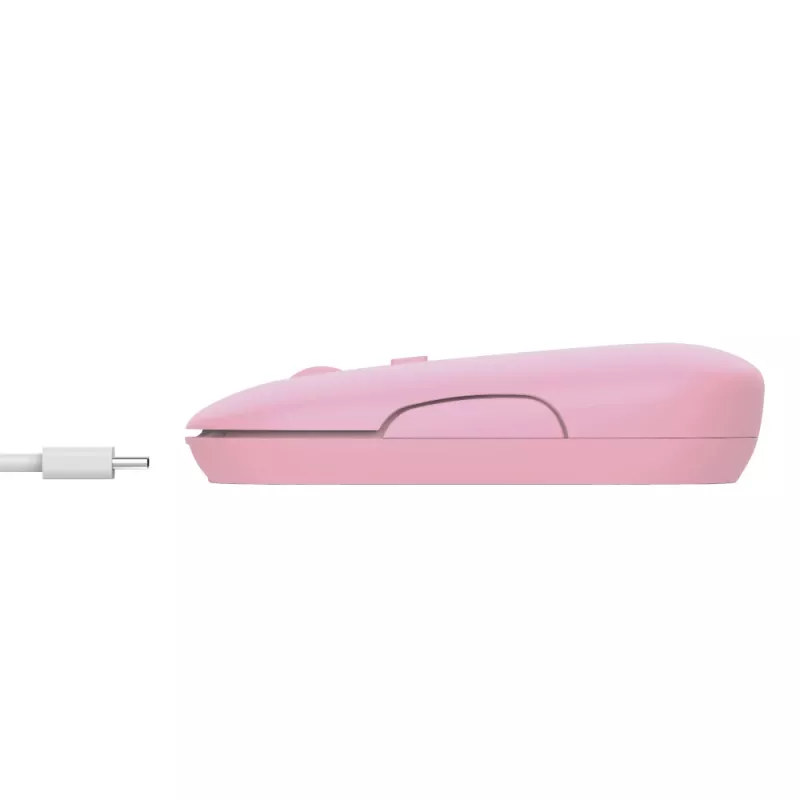 Trust Puck pelė Office ambidekstrinė RF belaidė + Bluetooth optinė 1600 DPI
