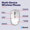 Trust Yvi+ pelė Universal Ambidextrous RF Wireless + Bluetooth Optinė 1600 DPI