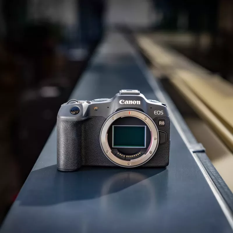 Canon EOS R8 + RF 24-105mm F4-7.1 IS STM veidrodinis fotoaparatas 24,2 MP CMOS 6000 x 4000 pikselių juodas