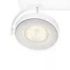 Philips WarmGlow LED Clockwork lubinis/sieninis prožektorius 4x LED, 18W, 2700K, 2000 lm, reguliuojamas, IP20, baltas