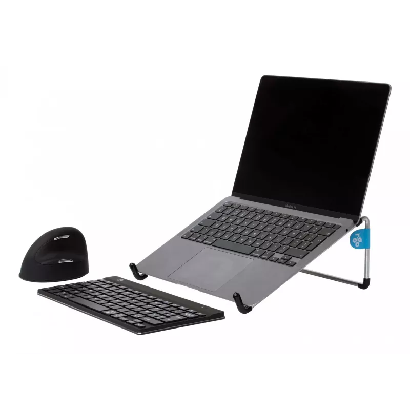 R-Go Tools R-Go Steel Basic Laptop stovas, sidabrinis