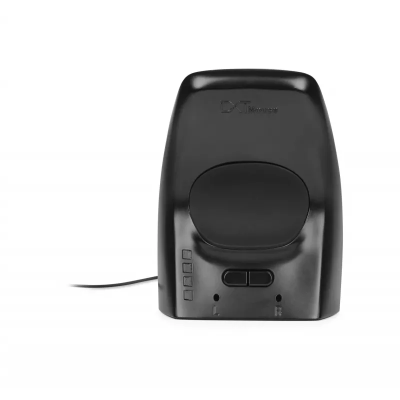 BakkerElkhuizen DXT 3 vertikali pelė, ambidekstrinė, optinė, USB Type-C, 2400 DPI, juoda
