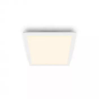 Lubinis šviestuvas Philips Functional Panel 12 W LED kvadratinis 300×300×42 mm, baltas