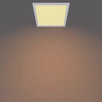 Lubinis šviestuvas Philips Functional Panel 12 W LED kvadratinis 300×300×42 mm, baltas