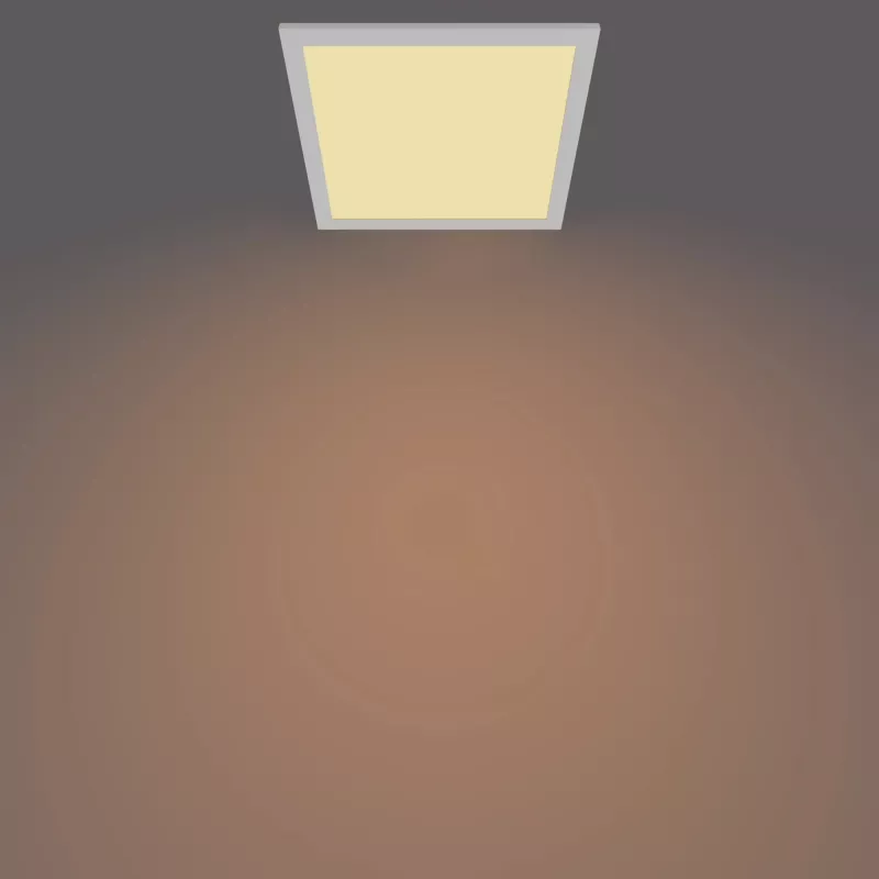 Lubinis šviestuvas Philips Functional Panel 12 W LED kvadratinis 300×300×42 mm, baltas