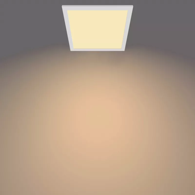 Lubinis šviestuvas Philips Functional Panel 12 W LED kvadratinis 300×300×42 mm, baltas