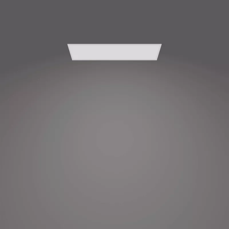 Philips Functional Panel LED lubinis šviestuvas 36 W stačiakampis 300×1200×42 mm baltas