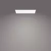 Philips Functional Panel LED lubinis šviestuvas 36 W stačiakampis 300×1200×42 mm baltas