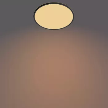 Lubinis šviestuvas Philips Functional Super Slim 22 W juodas LED apvalus
