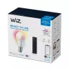WiZ išmanioji lemputė 8W (atitinka 60W) A60 E27 x1 + nuotolinio valdymo pultelis, Wi-Fi/Bluetooth, balta