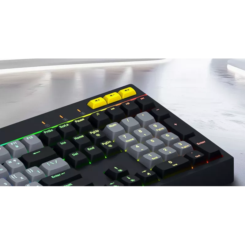 HATOR Icefall klaviatūra žaidimams USB QWERTY anglų JAV juoda RGB LED