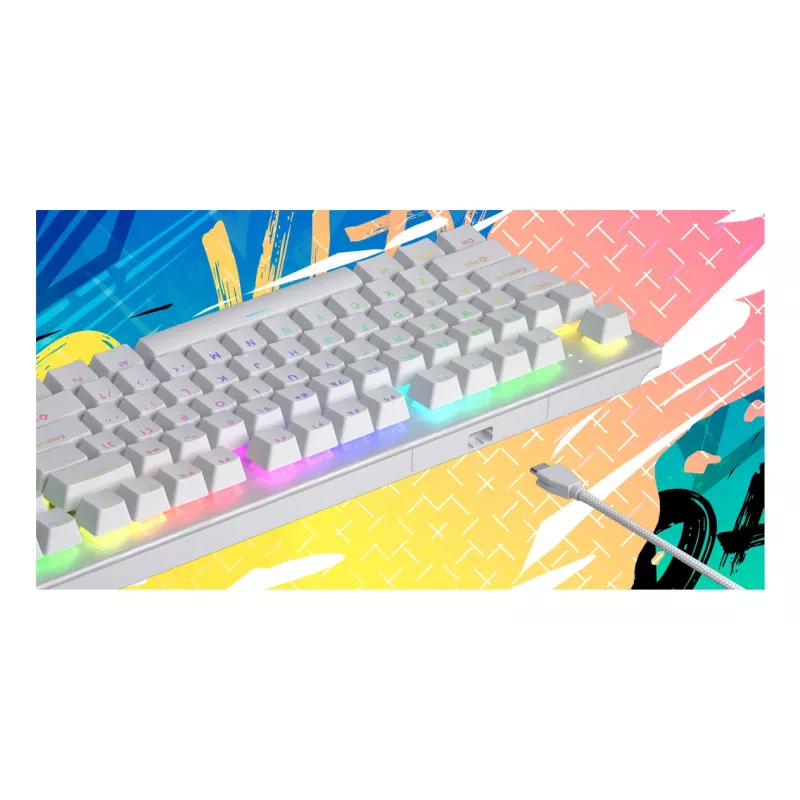 HATOR Gravity X TKL klaviatūra žaidimams USB QWERTY US English balta