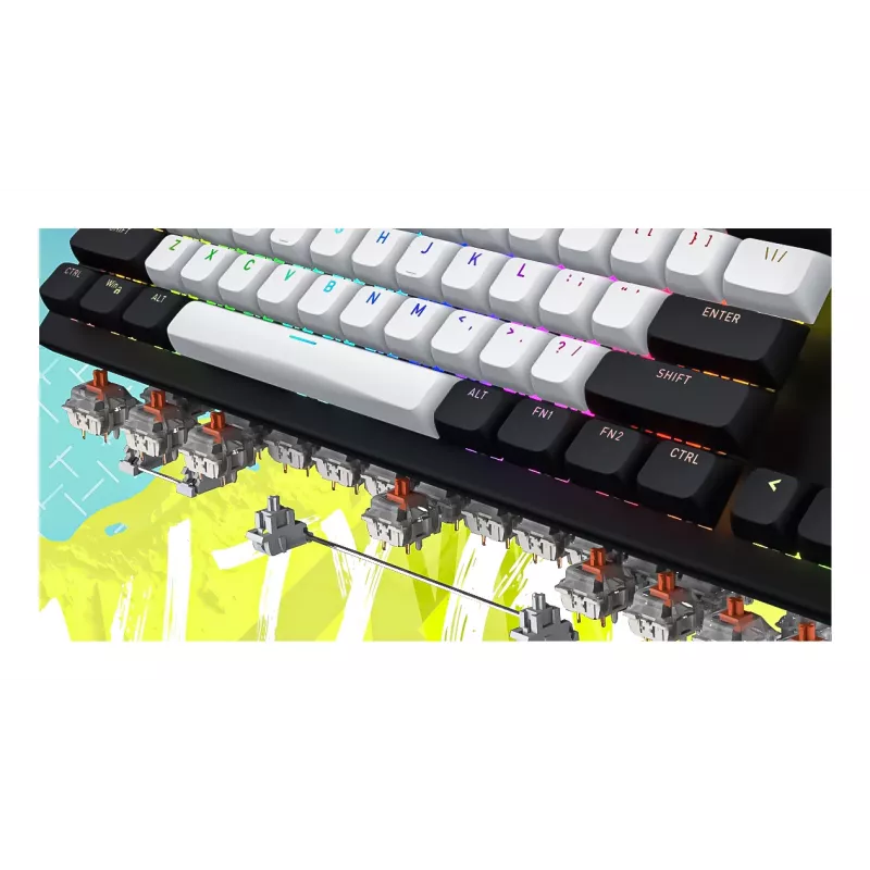 HATOR Gravity TKL klaviatūra žaidimams USB QWERTY US anglų balta