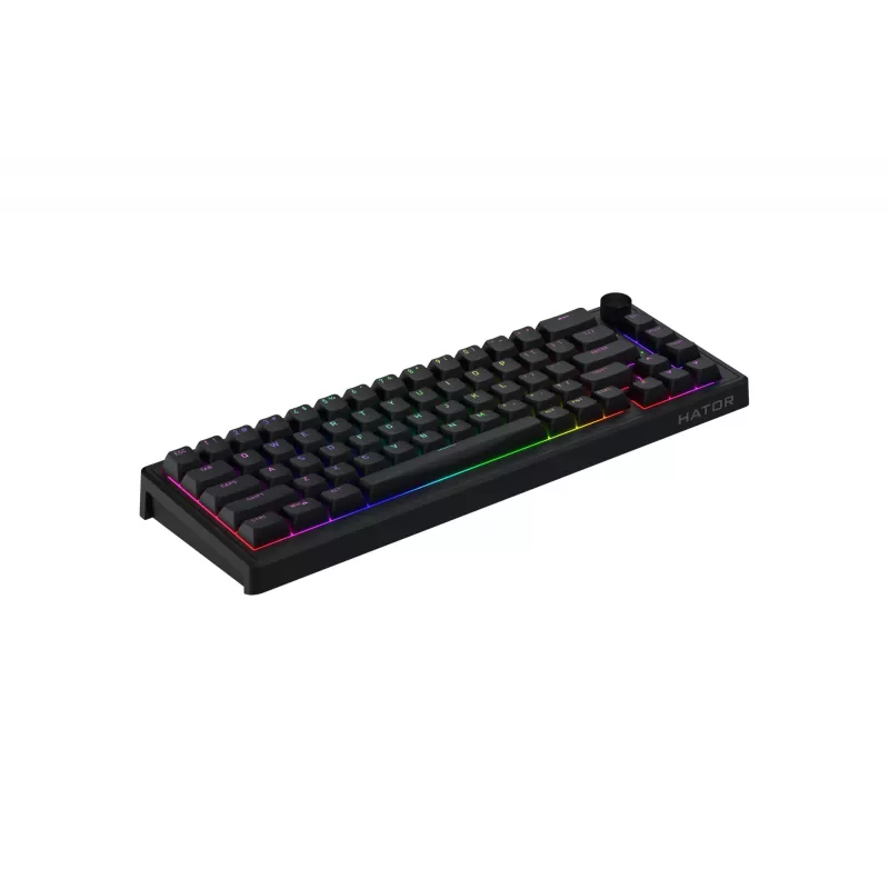HATOR Skyfall 65 laidinė mechaninė klaviatūra, USB-C, Aurum Sterling jungikliai, 70M paspaudimų, RGB, juoda, 790g