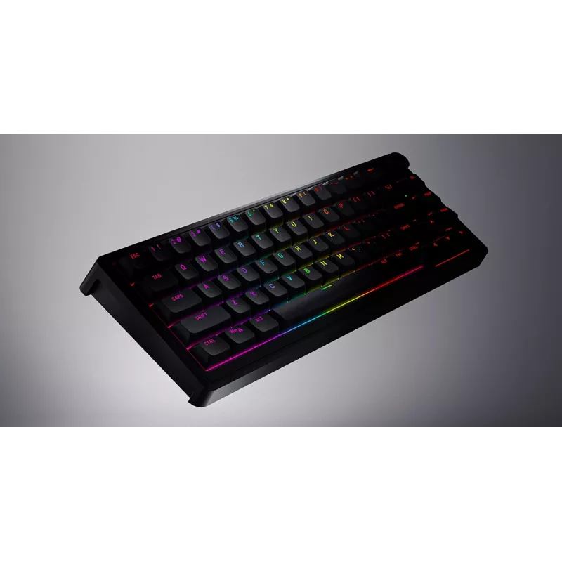 HATOR Skyfall 65 laidinė mechaninė klaviatūra, USB-C, Aurum Sterling jungikliai, 70M paspaudimų, RGB, juoda, 790g