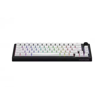 HATOR Skyfall Wireless 65 klaviatūra Gaming USB + RF Wireless + Bluetooth QWERTY US English Juoda, Balta
