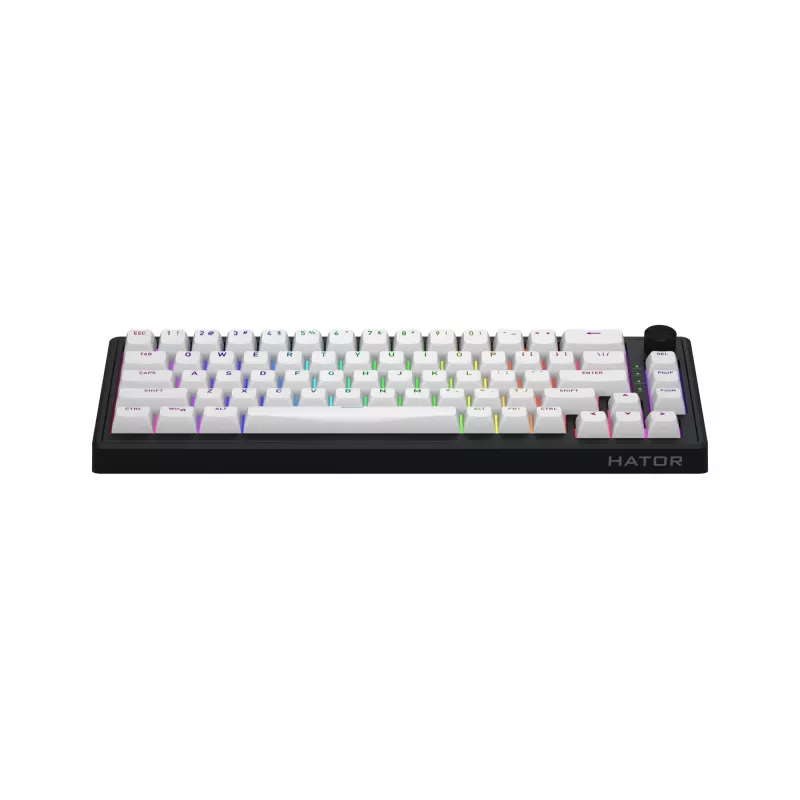 HATOR Skyfall Wireless 65 klaviatūra Gaming USB + RF Wireless + Bluetooth QWERTY US English Juoda, Balta