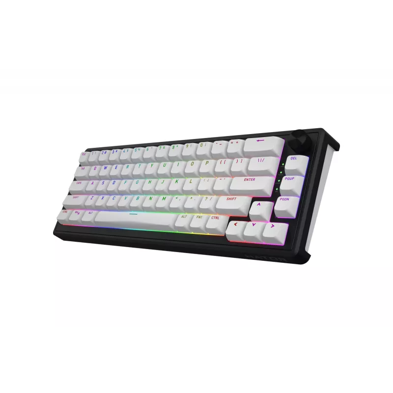 HATOR Skyfall Wireless 65 klaviatūra Gaming USB + RF Wireless + Bluetooth QWERTY US English Juoda, Balta
