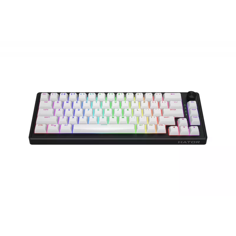 HATOR Skyfall Wireless 65 klaviatūra Gaming USB + RF Wireless + Bluetooth QWERTY US English Juoda, Balta