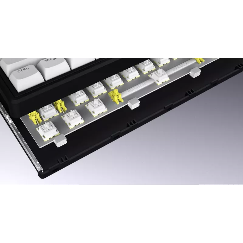 HATOR Skyfall Wireless 65 klaviatūra Gaming USB + RF Wireless + Bluetooth QWERTY US English Juoda, Balta