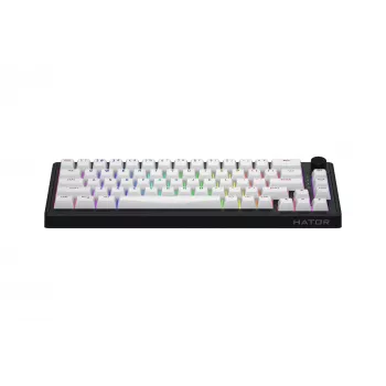 HATOR Skyfall 65 MAG ULTRA 8K klaviatūra žaidimams USB QWERTY JAV anglų juoda, balta