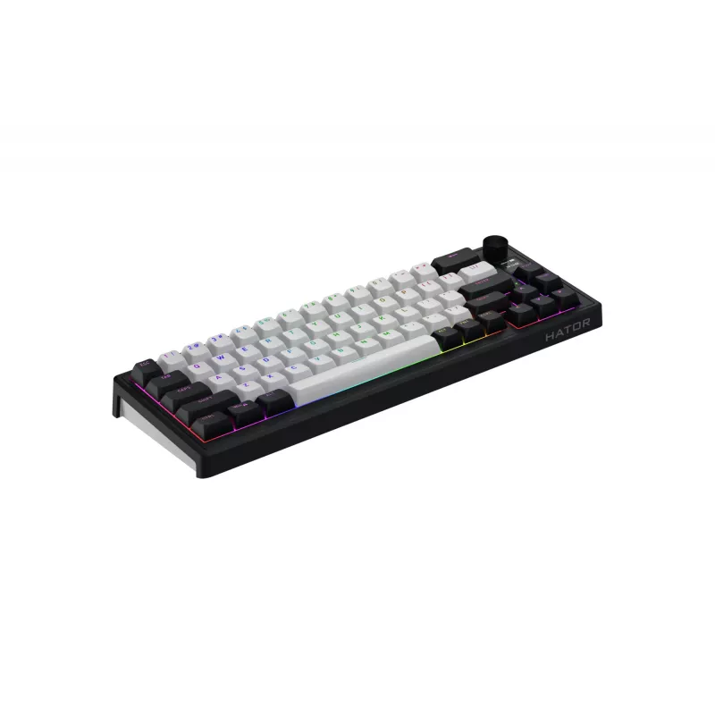 Belaidė klaviatūra HATOR Skyfall 65 MAG ULTIMA 8K žaidimams USB + RF Wireless + Bluetooth QWERTY US English juoda, balta