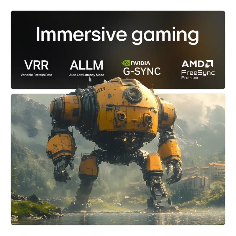 LG OLED evo AI 65 col. C5 4K išmanusis televizorius
