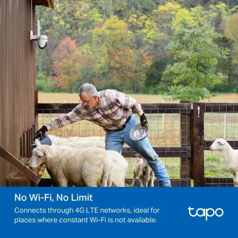 TP-Link TC40GW apsaugos kamera bokštas IP apsaugos kamera Lauko 1920 x 1080 pikselių Lubos/Siena/Stulpas