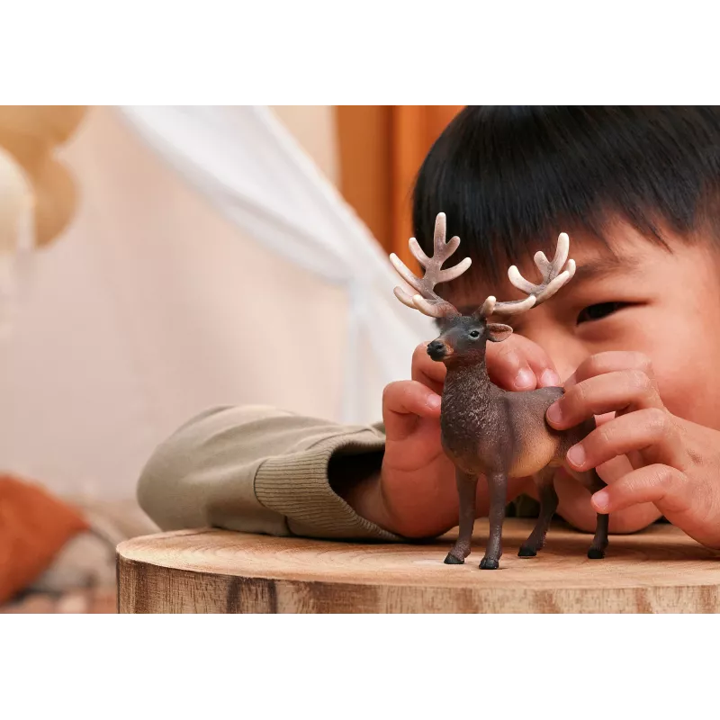 Schleich WILD LIFE 14992 vaikiška žaislinė figūrėlė