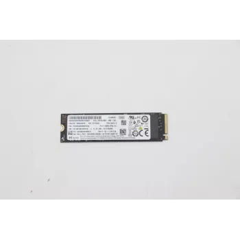 Lenovo 5SS0V26441 vidinis kietojo kūno diskas 256 GB M.2 PCI Express 3.0