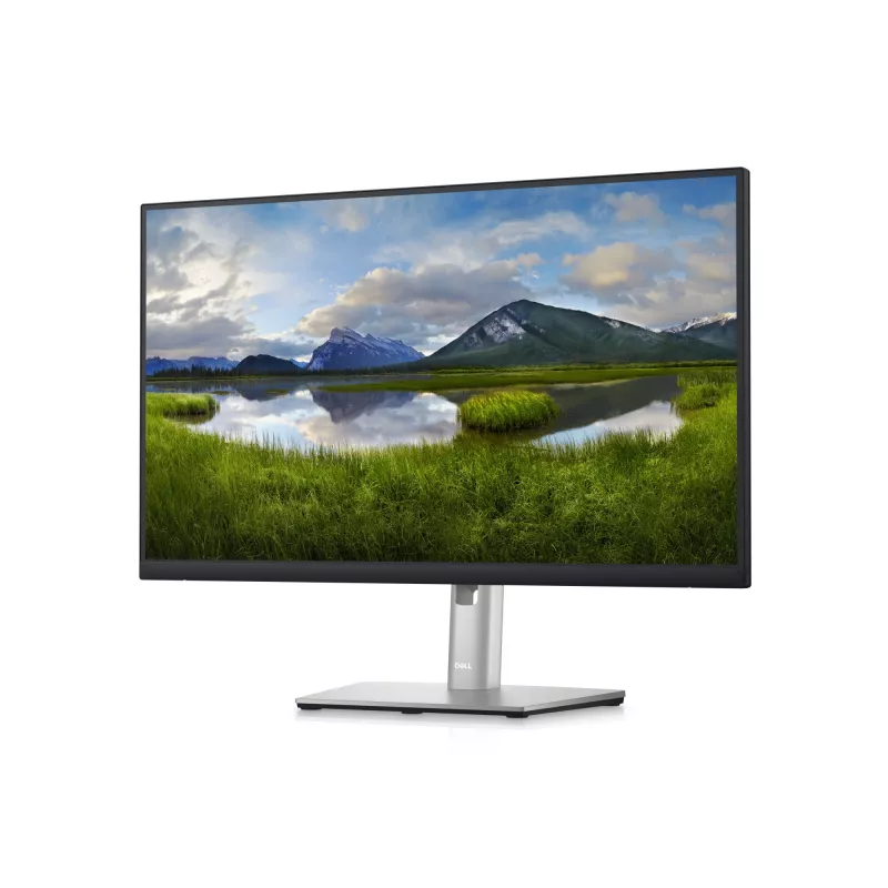 DELL P2423DE 23.8 colių QHD monitorius su USB-C stotelė