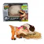 Jurassic World Primal Hatch interaktyvus dinozauras su kiaušiniu, išperėk ir užaugink savo mažylį su 100+ garsų ir reakcijų, žaislas berniukams ir mergaitėms nuo 5 metų