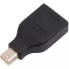 Techly IADAP DP-MDP2 adapteris DisplayPort Mini DisplayPort juodas