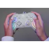 Laidinis RGB žaidimų valdiklis Turtle Beach Afterglow Wave pilka – USB‑C, 3 m laidas, skirta Nintendo Switch / Switch 2 / Switch OLED