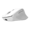 Belaidė dešinei rankai skirta biuro pelė TRUST Niven — RF + Bluetooth, 3200 DPI, 7 mygtukai, ratukas, balta
