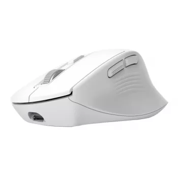 Belaidė dešinei rankai skirta biuro pelė TRUST Niven — RF + Bluetooth, 3200 DPI, 7 mygtukai, ratukas, balta