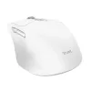 Belaidė dešinei rankai skirta biuro pelė TRUST Niven — RF + Bluetooth, 3200 DPI, 7 mygtukai, ratukas, balta