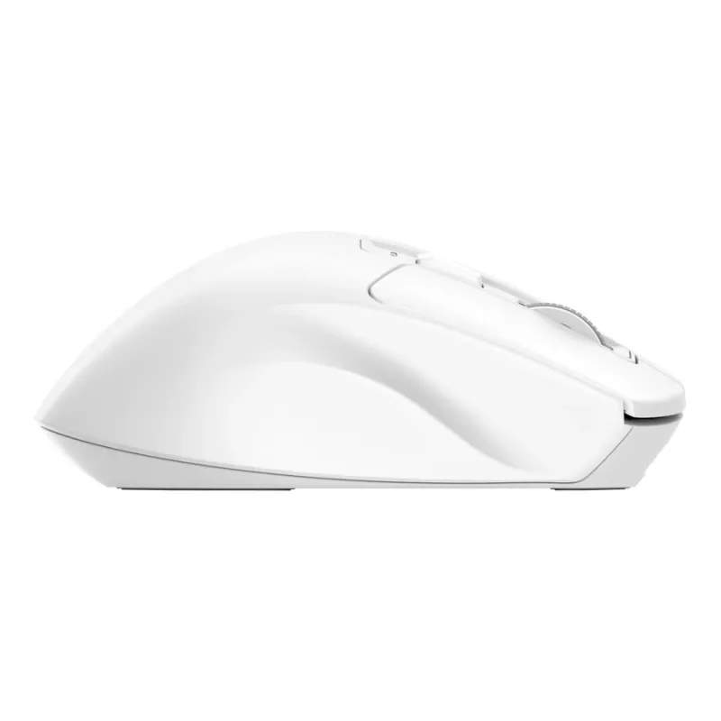 Belaidė dešinei rankai skirta biuro pelė TRUST Niven — RF + Bluetooth, 3200 DPI, 7 mygtukai, ratukas, balta