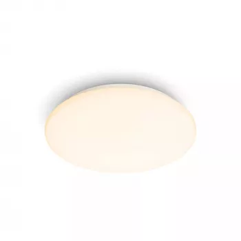 Philips Functional Moire lubinis šviestuvas 10 W, LED, nekeičiama lemputė, 2700 K, 1000 lm, IP20, baltas