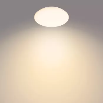 Philips Functional Moire lubinis šviestuvas 10 W, LED, nekeičiama lemputė, 2700 K, 1000 lm, IP20, baltas