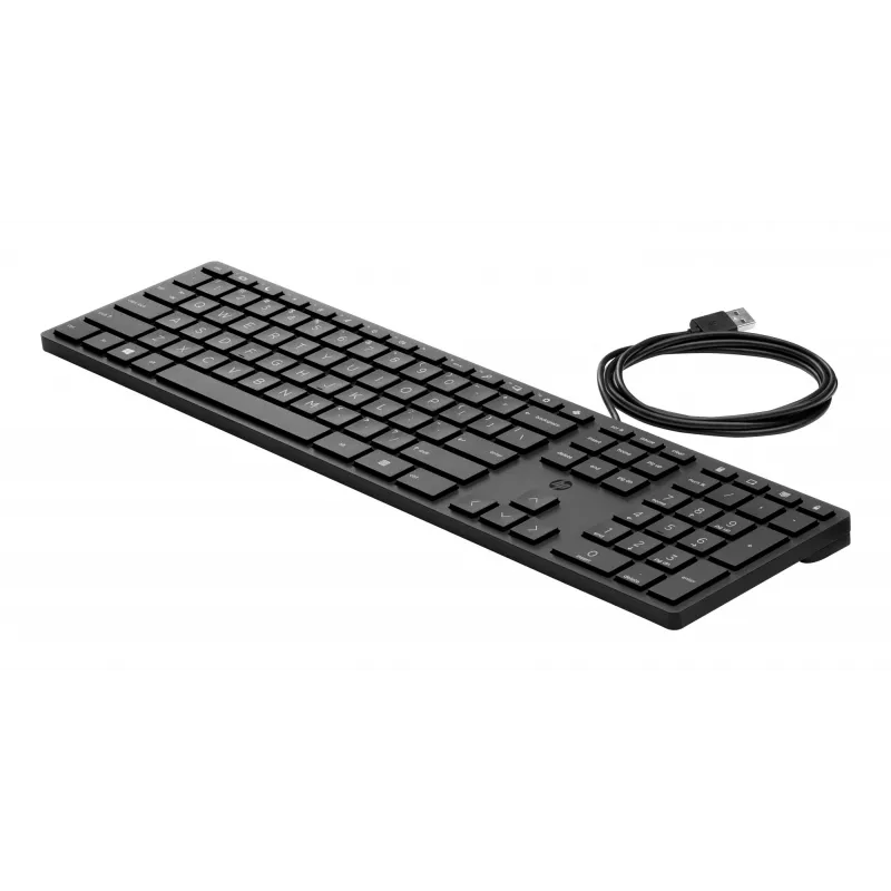 Pilno dydžio laidinė klaviatūra HP 320K – USB, 1,8 m laidas, juoda
