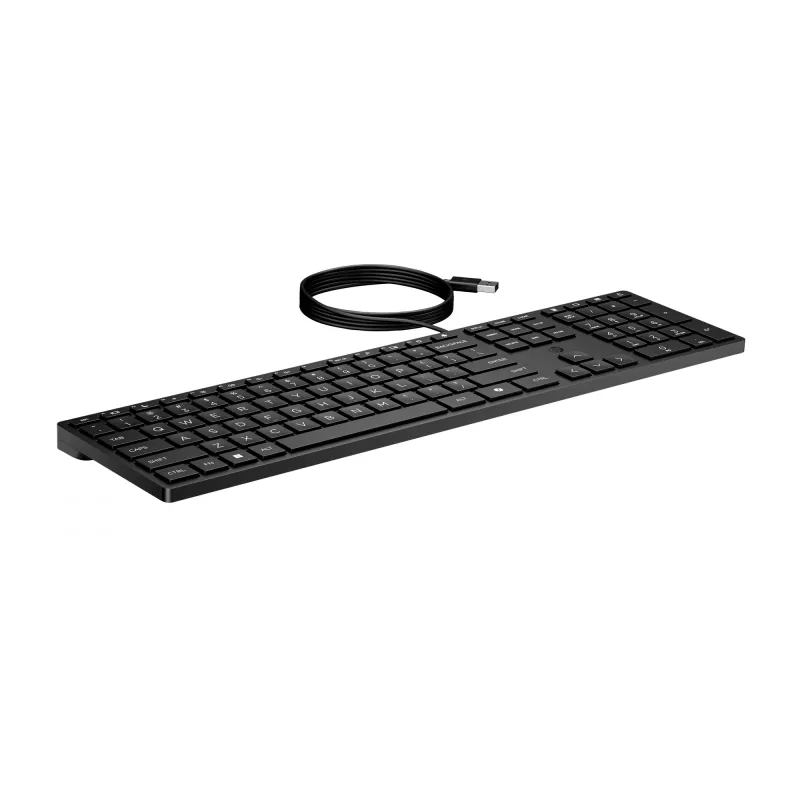 HP Wired Desktop 320K klaviatūra, laidinė, pilno dydžio USB, membraninė, juoda