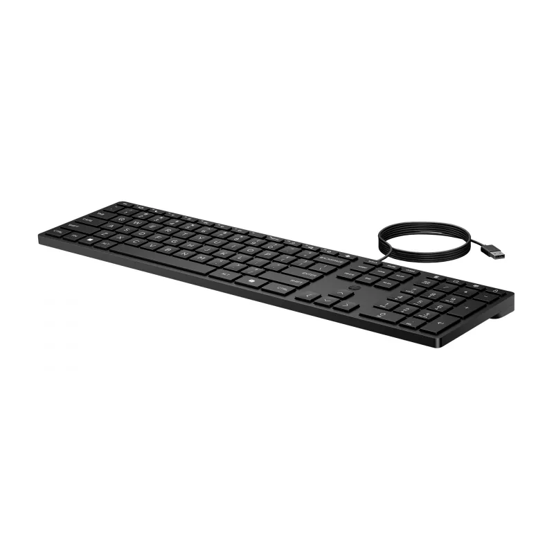 HP Wired Desktop 320K klaviatūra, laidinė, pilno dydžio USB, membraninė, juoda