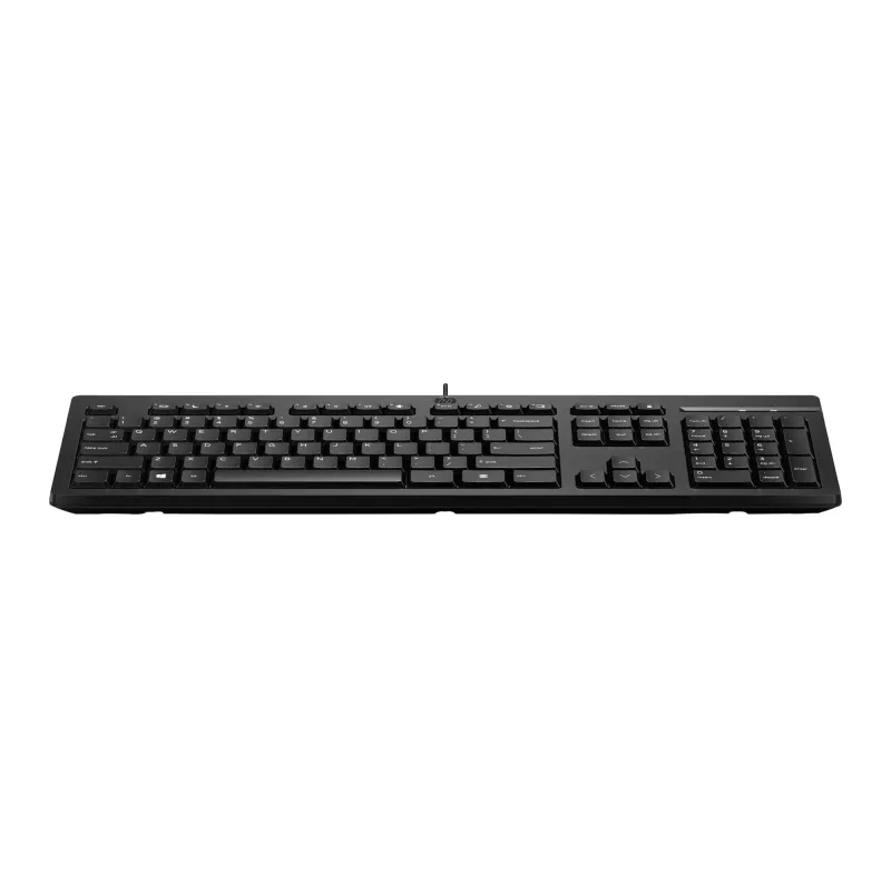 Laidinė USB klaviatūra HP 125 G2