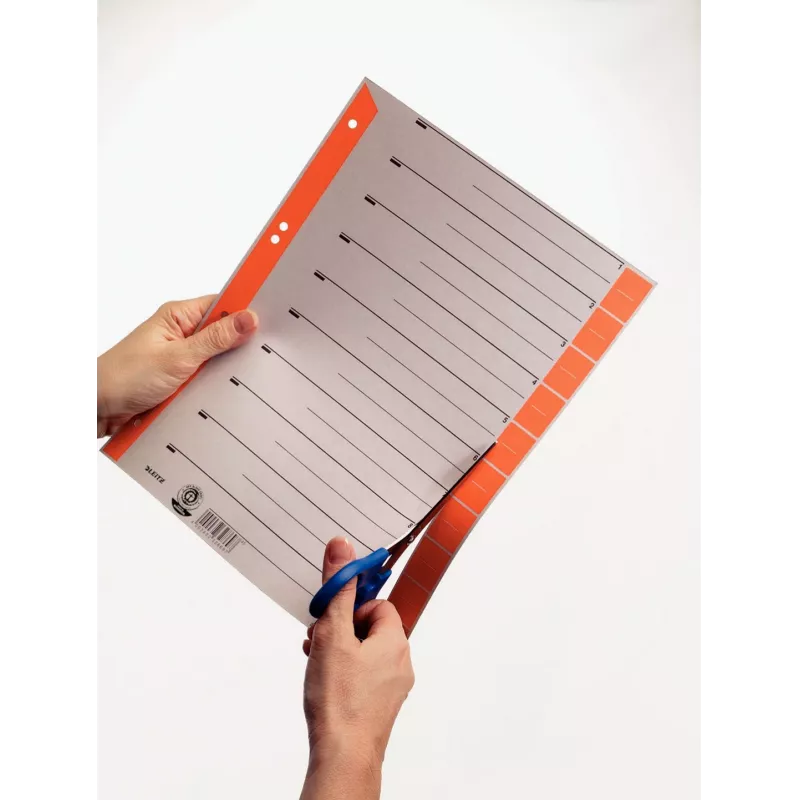 Leitz 16520030 Skaitmeniniai skirtukai iš kartono, mėlyni/pilki