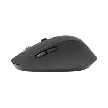 Conceptronic LORCAN02B ergonominė pelė biurui, dešinei rankai, Bluetooth, optinė, 1600 DPI